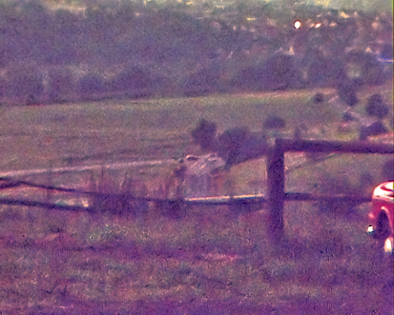 1980 Super8-Kurzeck-1433-Blick Richtung Odenhausen-B560 1980 Super8-Kurzeck-1433-Blick Richtung Odenhausen-B560