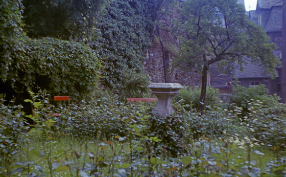 65-01-Nr-002-Garten an der Mauer zum Dom-560 65-01-Nr-002-Garten an der Mauer zum Dom-560