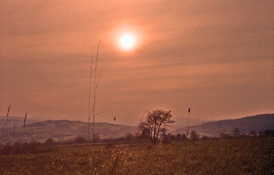 84-6-0019-Vogelsberg-Landschaft-560 84-6-0019-Vogelsberg-Landschaft-560