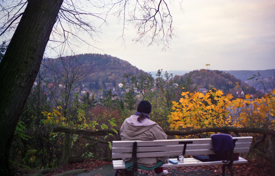 89-11-0002-Blick von der Bank im Schloßpark-1-560 89-11-0002-Blick von der Bank im Schloßpark-1-560
