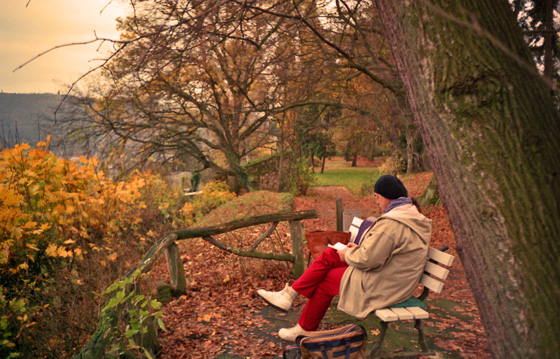 89-11-0004-Bank im Schlopark mit Kater-560