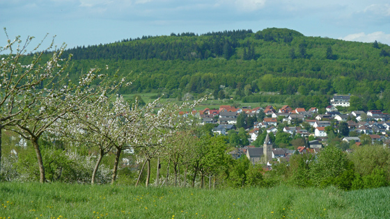 P1010192-Treis mit Totenberg-560 P1010192-Treis mit Totenberg-560