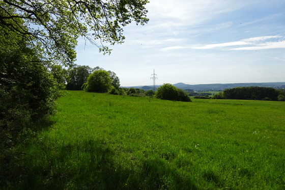 DSC00393-bei Treis ganz oben-560 DSC00393-bei Treis ganz oben-560
