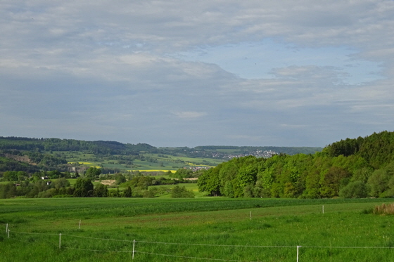 DSC00421-Lumdatal zwischen Treis und Allendorf-560 DSC00421-Lumdatal zwischen Treis und Allendorf-560