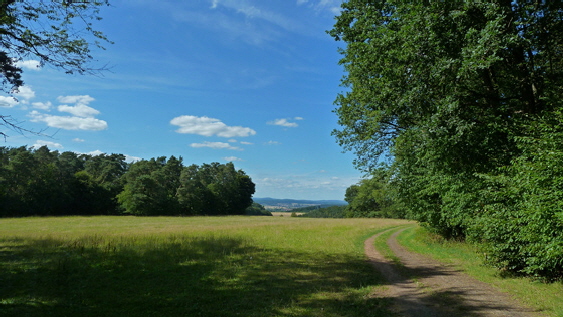 P1020072-Staufenberger Landschaft - Blick Richtung Odenhausen-560