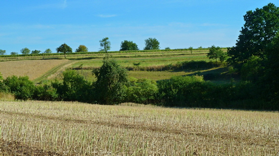 P1020093-Landschaft hinter Staufenberg-1-560 P1020093-Landschaft hinter Staufenberg-1-560