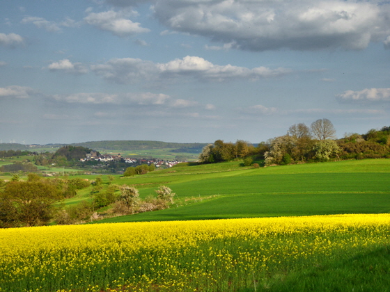 P1030357 - Tanja-Berg-Rapsfeld mit Staufenberg-color5-560 P1030357 - Tanja-Berg-Rapsfeld mit Staufenberg-color5-560