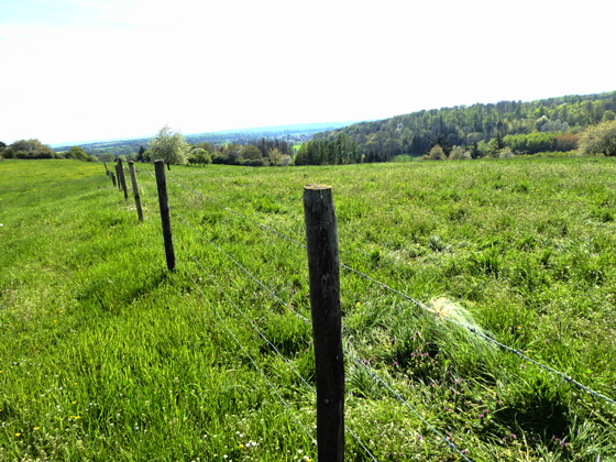 P1040094-Wirberg, Taunus, Wieseckquelle, Zaun, color5-B560 P1040094-Wirberg, Taunus, Wieseckquelle, Zaun, color5-B560