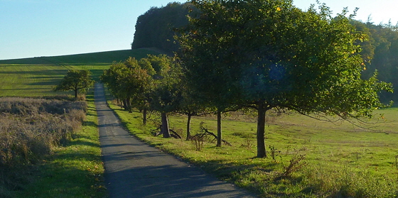 P1050325-Feldweg bei Großen Buseck-Ausschnitt-560 P1050325-Feldweg bei Großen Buseck-Ausschnitt-560