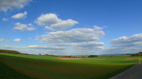 P1090071-Wirberg - Blick zum Vogelsberg-560 P1090071-Wirberg - Blick zum Vogelsberg-560