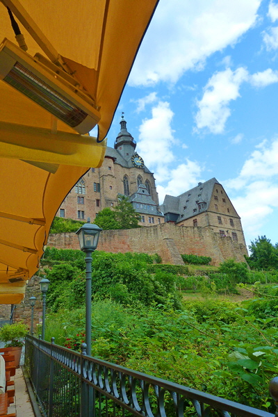 P1090414-Schloss vom Bckingsgarten-H600