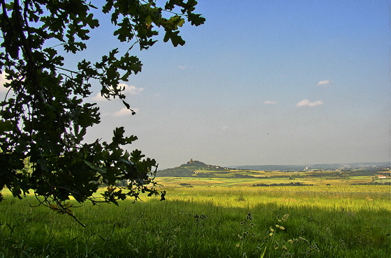 P6061728-Blick auf Gleiberg mit Eichenlaub-sharpen-hdr4-560 P6061728-Blick auf Gleiberg mit Eichenlaub-sharpen-hdr4-560