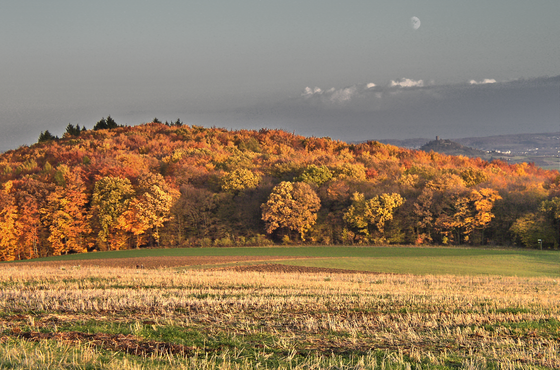PB043098-Hl-Seite-Blick auf den Gleiberg, sharpen, Color5-560 PB043098-Hl-Seite-Blick auf den Gleiberg, sharpen, Color5-560